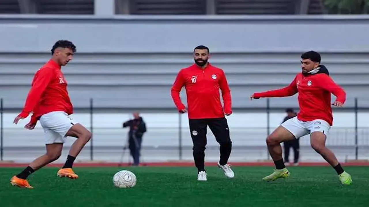 قناة مجانية.. تردد المحطة الناقلة لمباراة مصر ونيجيريا في كأس أمم أفريقيا